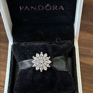 Pandora cz Ice Crystals Charm